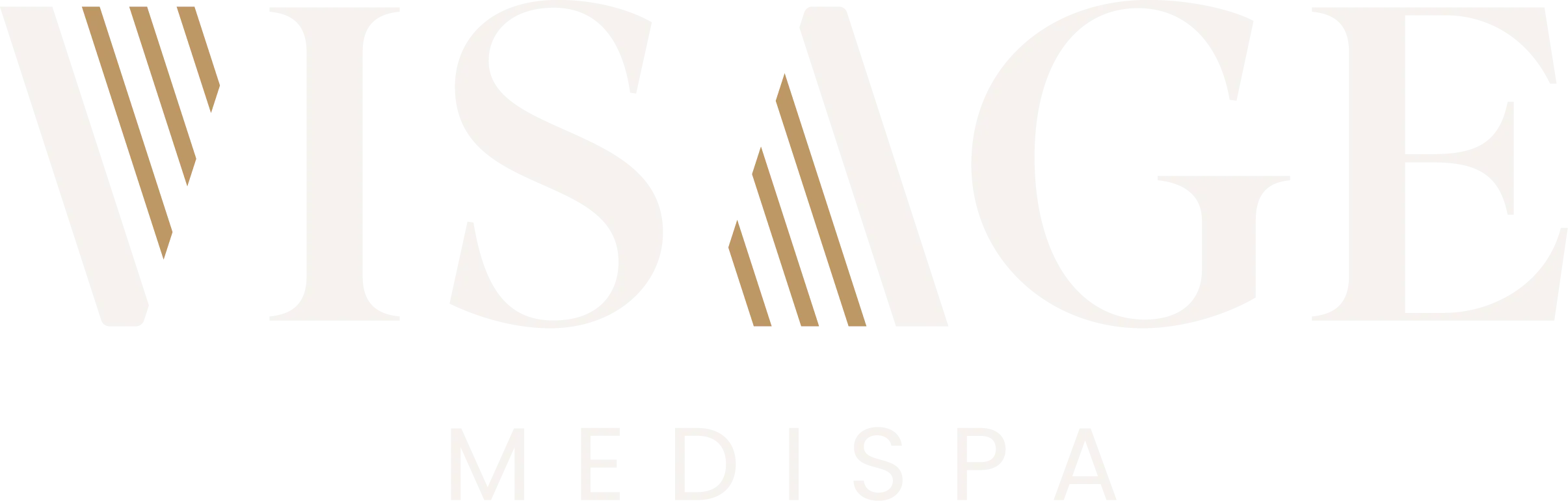 Visage Medispa
